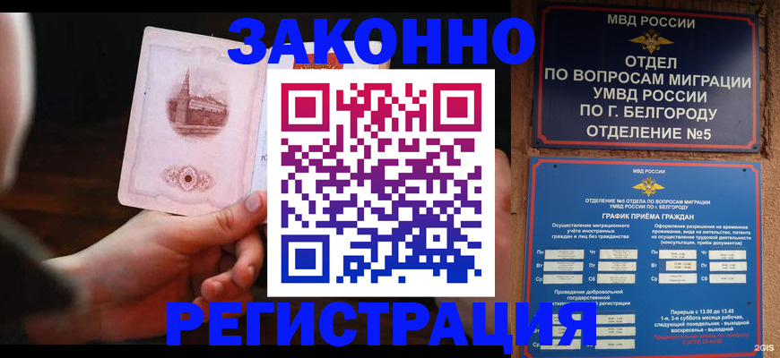 прописка 2025 в Шебекино